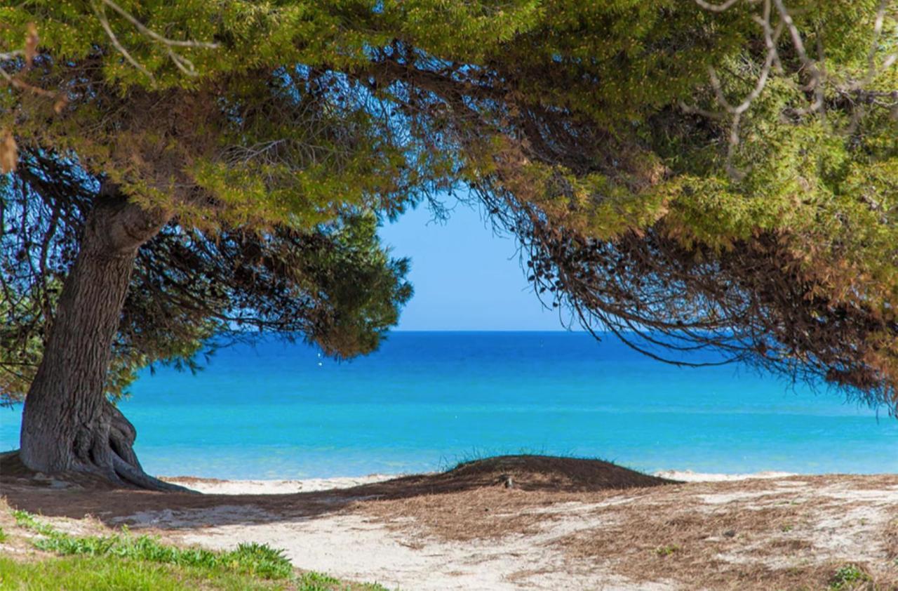 Apartment Countess Garden 2-1, Sun Of The Bay Vidalba 1, At Alcudia Beach بورت ذالكوذيا المظهر الخارجي الصورة
